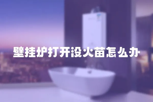 壁掛爐打開沒火苗怎么辦
