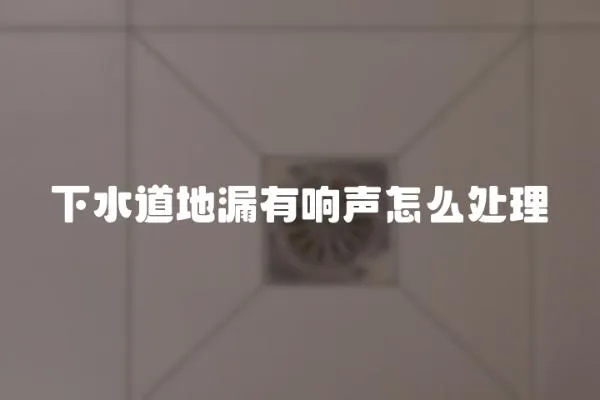 下水道地漏有響聲怎么處理