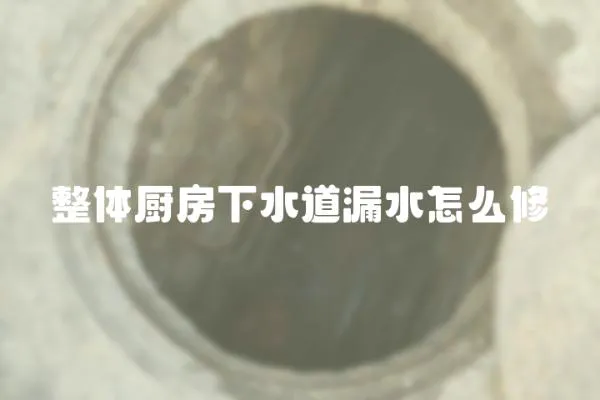 整體廚房下水道漏水怎么修