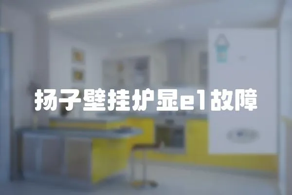 揚子壁掛爐顯e1故障
