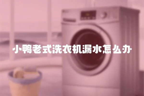 小鴨老式洗衣機漏水怎么辦