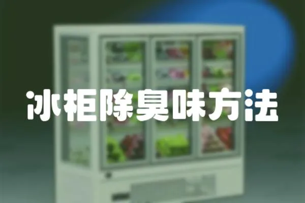 冰柜除臭味方法