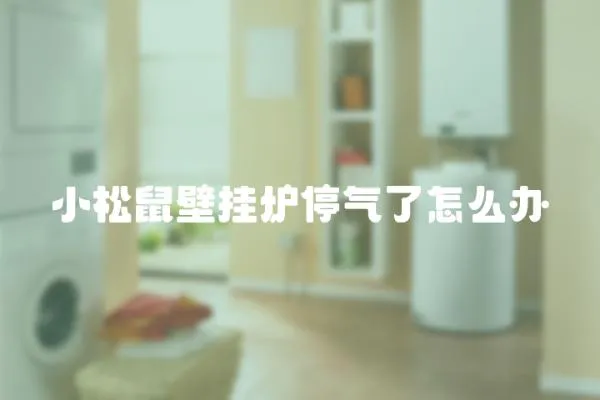 小松鼠壁掛爐停氣了怎么辦