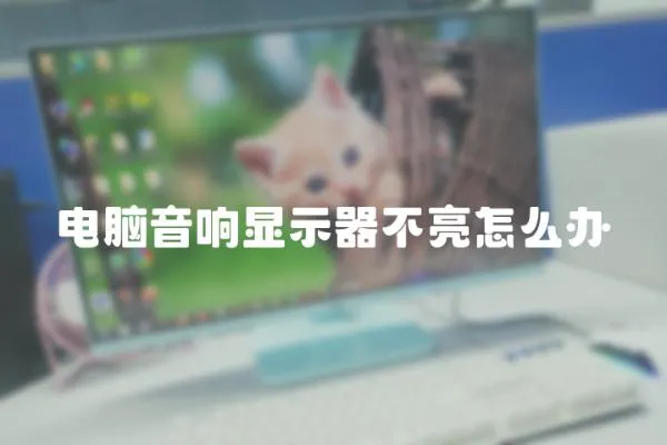 電腦音響顯示器不亮怎么辦