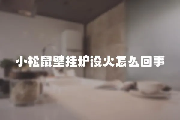 小松鼠壁掛爐沒火怎么回事