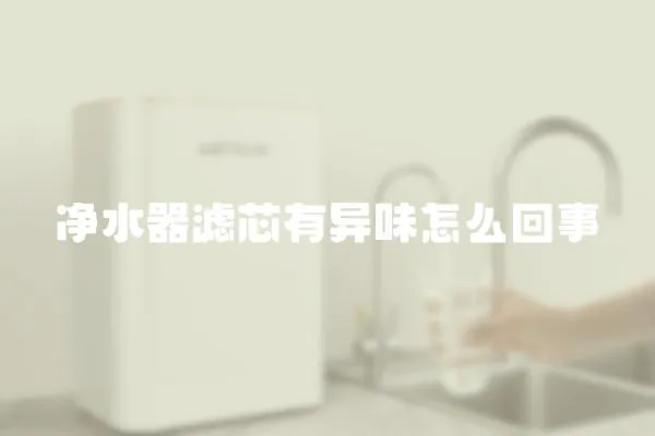凈水器濾芯有異味怎么回事