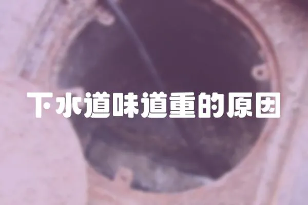 下水道味道重的原因