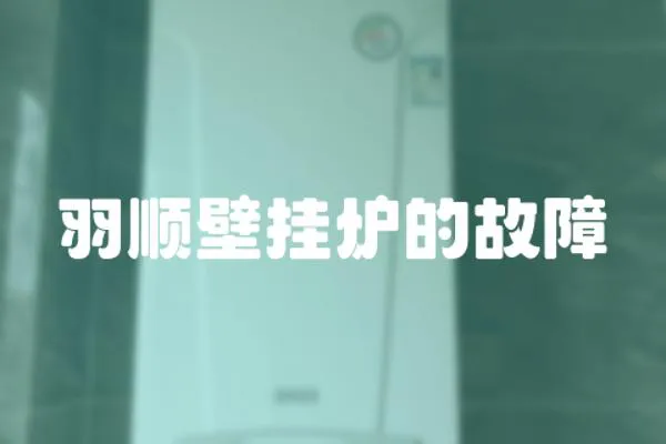 羽順壁掛爐的故障