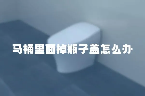 馬桶里面掉瓶子蓋怎么辦
