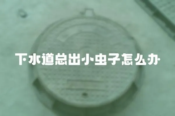 下水道總出小蟲子怎么辦