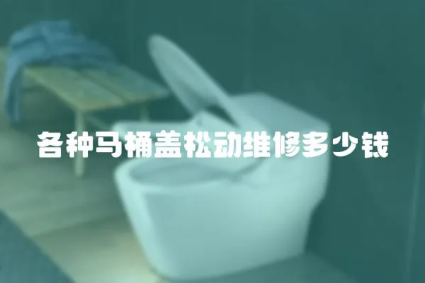 各種馬桶蓋松動維修多少錢