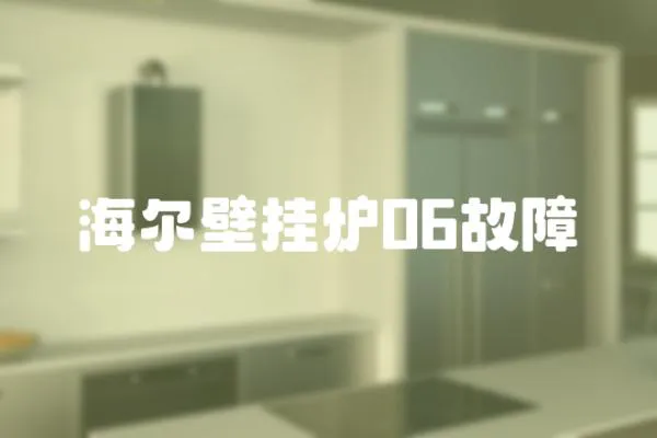 海爾壁掛爐06故障