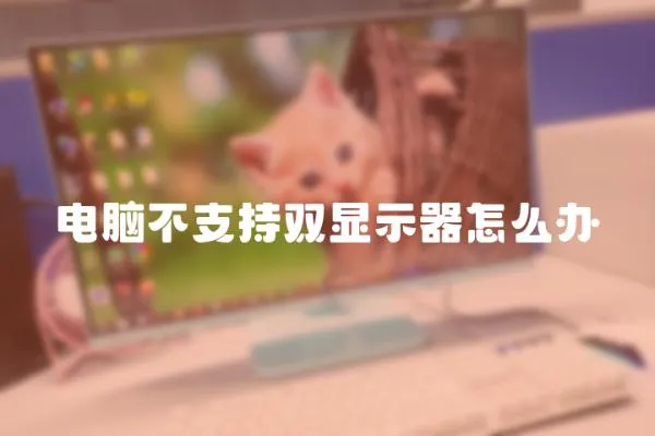 電腦不支持雙顯示器怎么辦