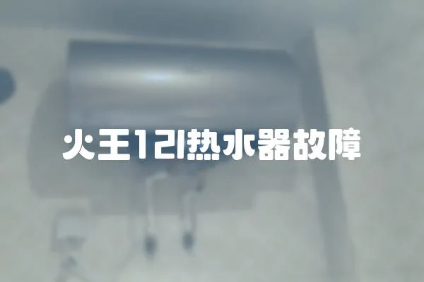 火王12l熱水器故障