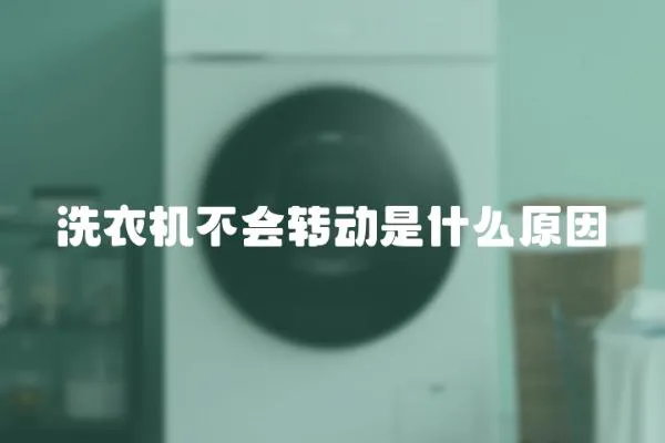 洗衣機不會轉動是什么原因