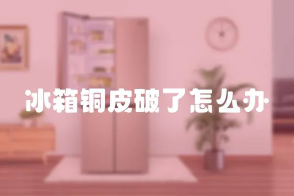 冰箱銅皮破了怎么辦