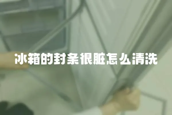 冰箱的封條很臟怎么清洗