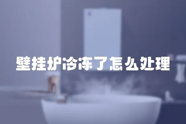 壁掛爐冷凍了怎么處理