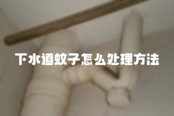 下水道蚊子怎么處理方法