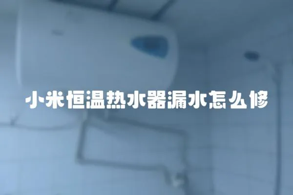 小米恒溫熱水器漏水怎么修