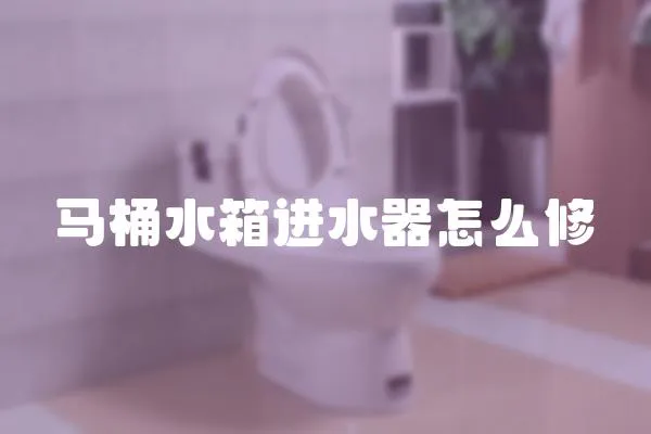 馬桶水箱進水器怎么修
