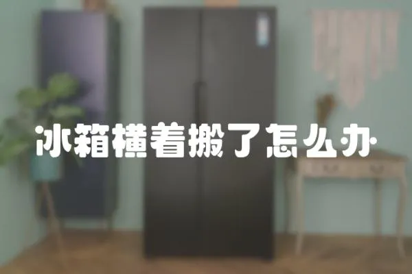 冰箱橫著搬了怎么辦