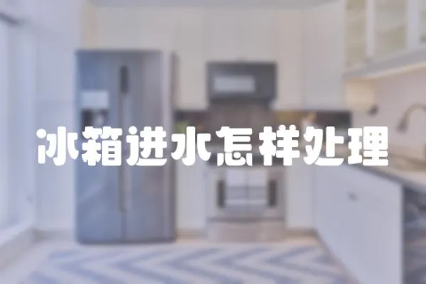 冰箱進水怎樣處理