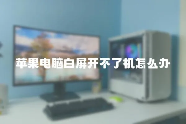 蘋果電腦白屏開不了機(jī)怎么辦