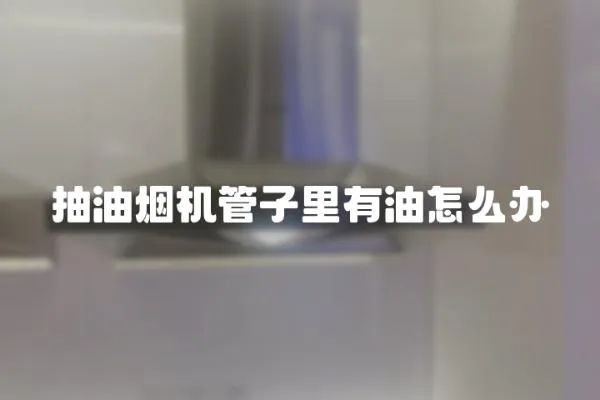 抽油煙機管子里有油怎么辦