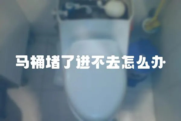 馬桶堵了進不去怎么辦