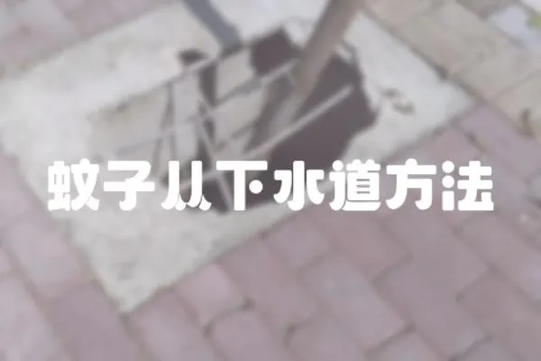 蚊子從下水道方法
