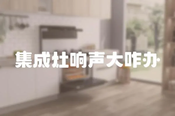 集成灶響聲大咋辦