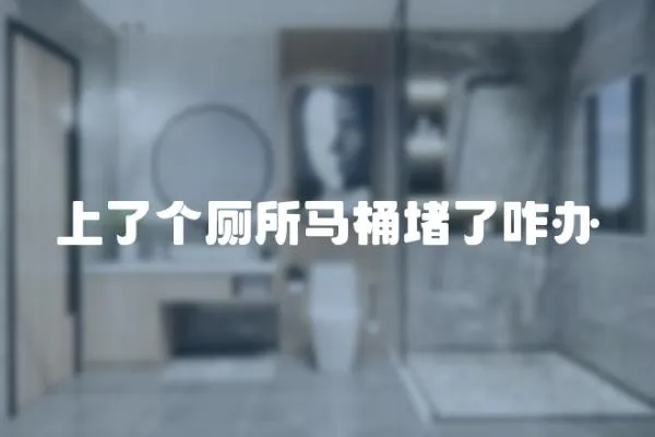 上了個廁所馬桶堵了咋辦