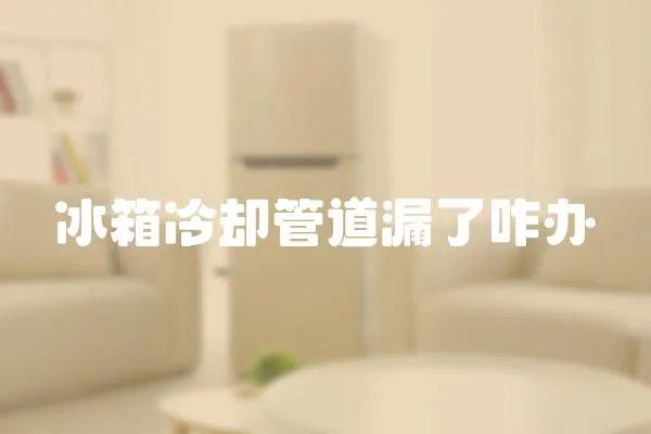 冰箱冷卻管道漏了咋辦