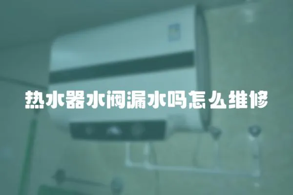 熱水器水閥漏水嗎怎么維修
