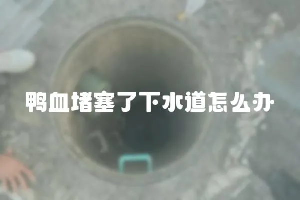鴨血堵塞了下水道怎么辦
