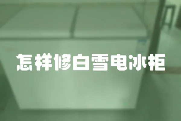 怎樣修白雪電冰柜