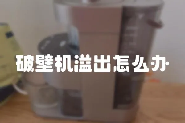 破壁機溢出怎么辦