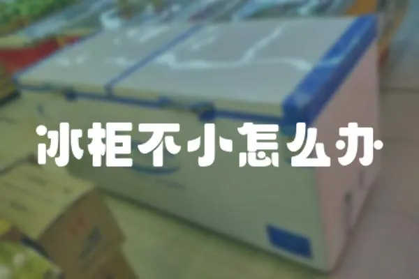 冰柜不小怎么辦