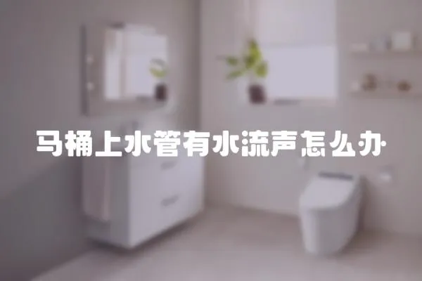 馬桶上水管有水流聲怎么辦
