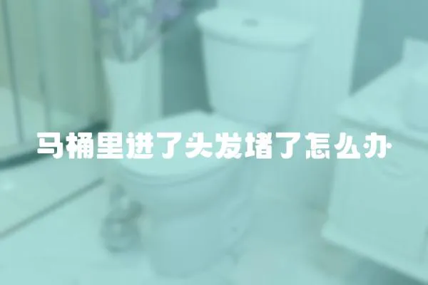 馬桶里進了頭發(fā)堵了怎么辦
