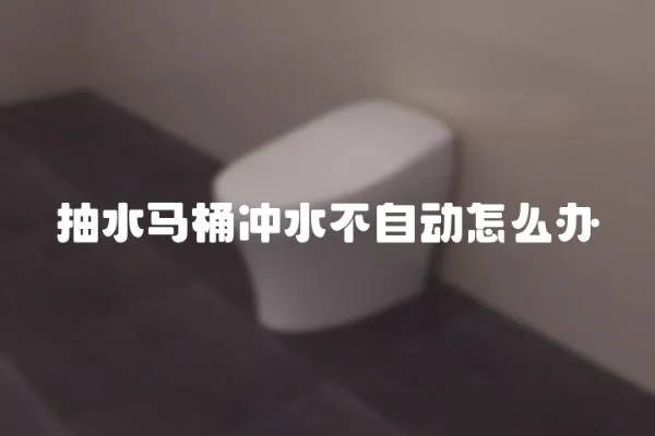 抽水馬桶沖水不自動怎么辦