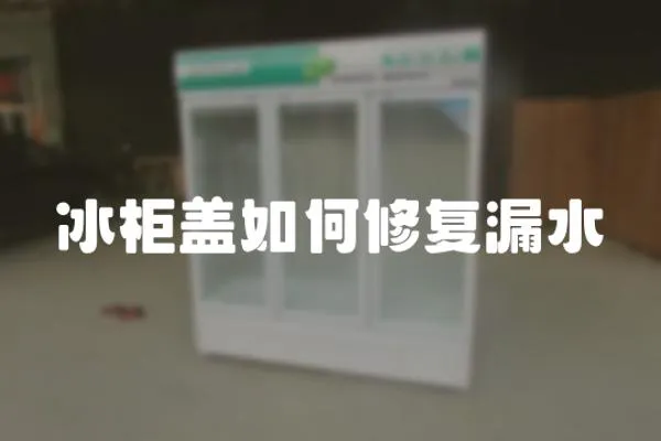 冰柜蓋如何修復漏水