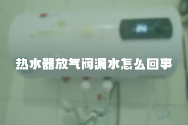 熱水器放氣閥漏水怎么回事