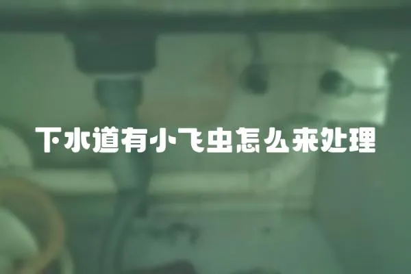 下水道有小飛蟲怎么來處理