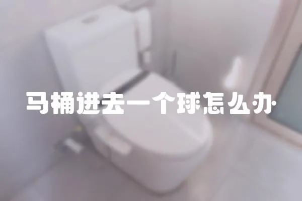 馬桶進去一個球怎么辦