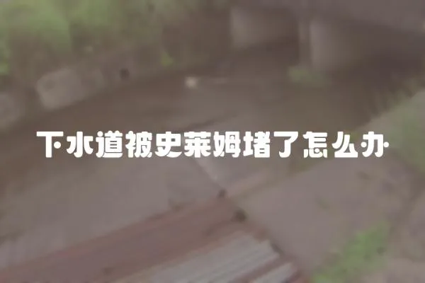 下水道被史萊姆堵了怎么辦