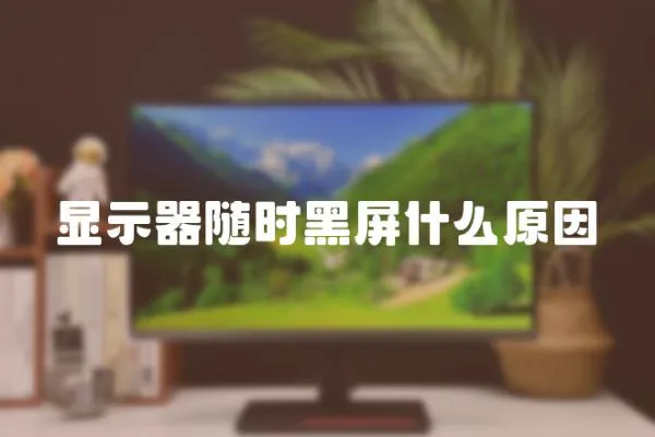 顯示器隨時(shí)黑屏什么原因