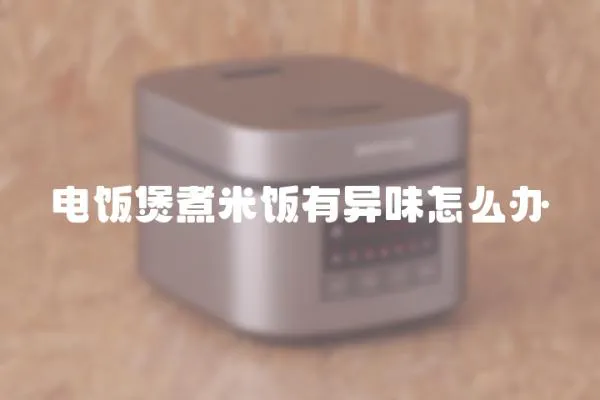 電飯煲煮米飯有異味怎么辦