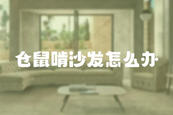 倉鼠啃沙發(fā)怎么辦